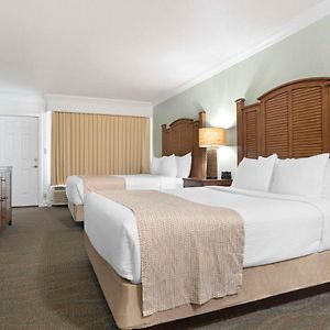 Chambre Lit Queen-Size